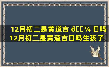 12月初二是黄道吉 🐼 日吗（12月初二是黄道吉日吗生孩子 🦁 好吗）